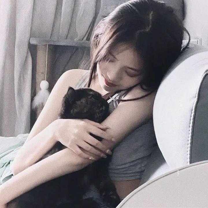 功夫兔与菜包狗第二季